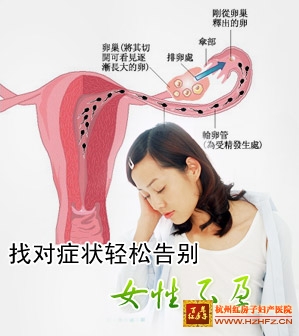 不孕不育检查的项目